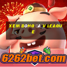 xem bóng đá v league