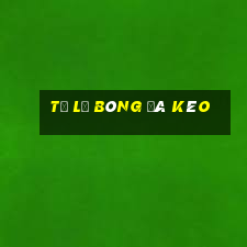 tỷ lệ bóng đá kèo