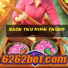 bach thu ninh thuan