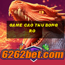 game cao thu bong ro