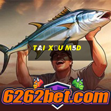 tài xỉu m5d