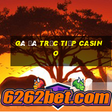 gà đá trực tiếp casino