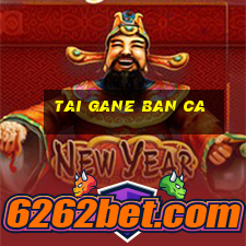 tai gane ban ca