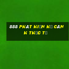 888 Phát hiện hạ cánh thực tế