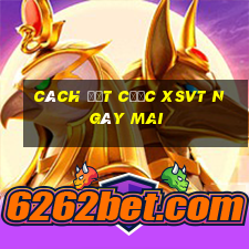 Cách đặt cược XSVT ngày mai