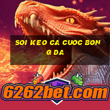 soi keo ca cuoc bong da