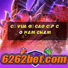 cờ vua gỗ cao cấp có nam châm