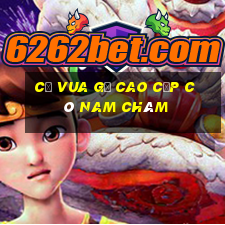 cờ vua gỗ cao cấp có nam châm