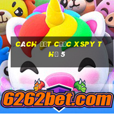 Cách đặt cược XSPY Thứ 5