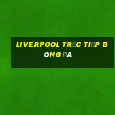 liverpool trực tiếp bóng đá