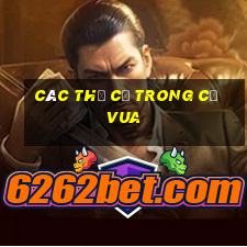 các thế cờ trong cờ vua