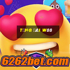 tổng đài w88