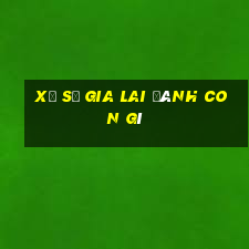 xổ số gia lai đánh con gì