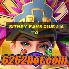 bitney fans club lừa đảo