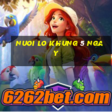 nuoi lo khung 5 ngay