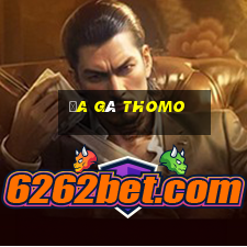 đa gà thomo