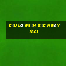 cầu lô miền bắc ngày mai