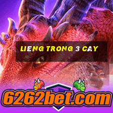 liêng trong 3 cây