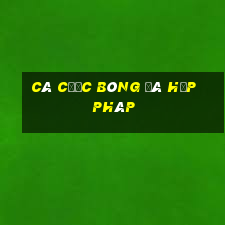 cá cược bóng đá hợp pháp