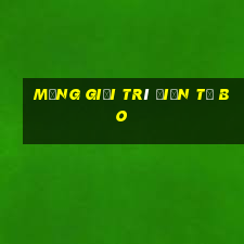 Mạng giải trí điện tử Bo