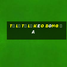 tỷ lệ tỷ lệ kèo bóng đá