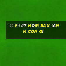 đề về 47 hôm sau đánh con gì