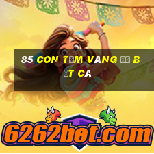 85 con tằm vàng để bắt cá