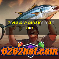 tổng hợp chu kỳ đầu đuôi