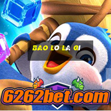 bao lô là gì