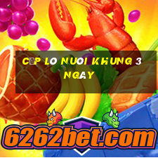 cặp lô nuôi khung 3 ngày