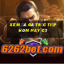 xem đá gà trực tiếp hôm nay c3