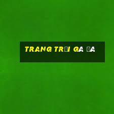 trang trại gà đá