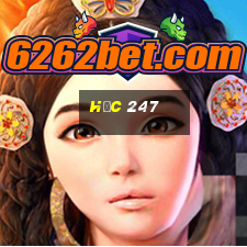 học 247