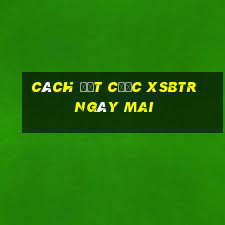 Cách đặt cược XSBTR ngày mai