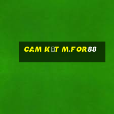 Cam kết m.for88