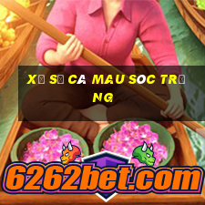 xổ số cà mau sóc trăng