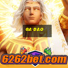 ga dao