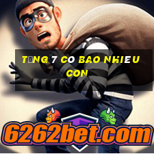 tổng 7 có bao nhiêu con