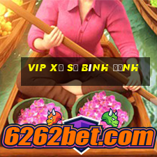 vip xổ số bình định