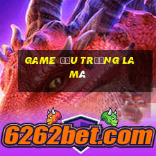 game đấu trường la mã