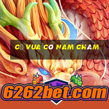 cờ vua có nam châm