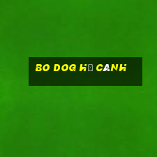 Bo DOG hạ cánh