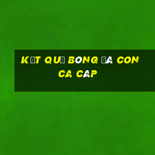 kết quả bóng đá con ca cáp