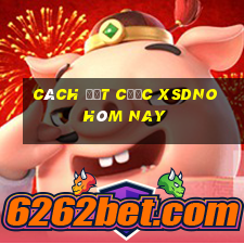 Cách đặt cược XSDNO hôm nay