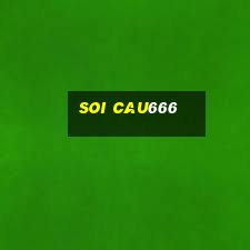 soi cau666