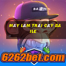 Máy làm trái cây Baile