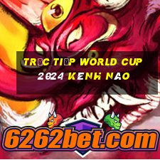 trực tiếp world cup 2024 kênh nào