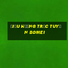 Điều hướng trực tuyến Bomei