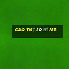 cao thủ lô đề mb