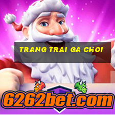 trang trai ga choi